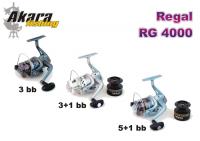 Безин. катушка AKARA Regal RG-4000 (3 bb, 0,30/200 мм/м, 5,2:1) 